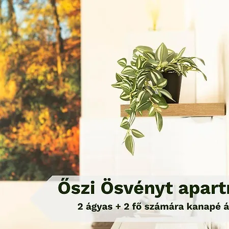 Voelgyseg Hotel apartamentowy