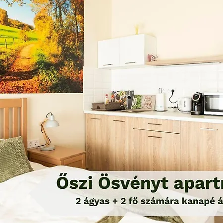 Voelgyseg Hotel apartamentowy